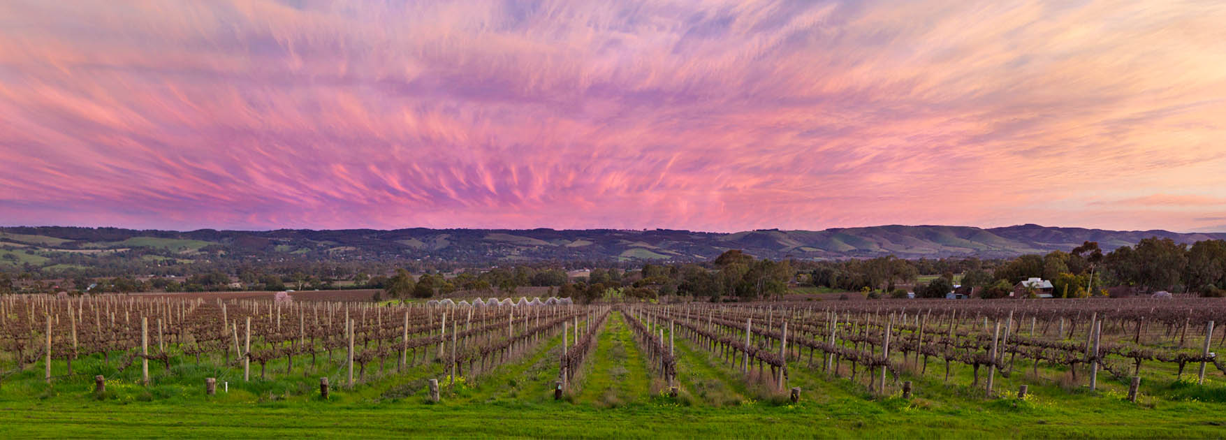 Ekhidna Wines McLaren Vale Winery